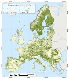 Shqipëria, ndër vendet me më pak pyje në Europë.